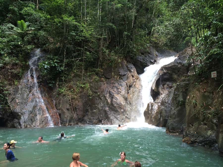 From Phuket & Khao Lak: Elephant Care with Waterfall Visit - Guides and group feel: why the people matter here
