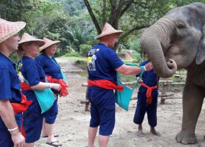From Phuket & Khao Lak: Elephant Care with Waterfall Visit - Price and value: what you get for around $70