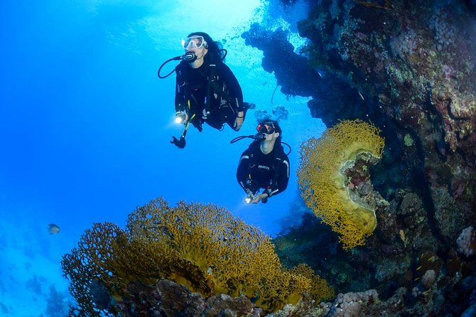 Full-Day Beginner Scuba Course with Private Tuition, Racha Yai - A Full-Day Starter Course in Koh Racha Yai: What You’re Really Getting