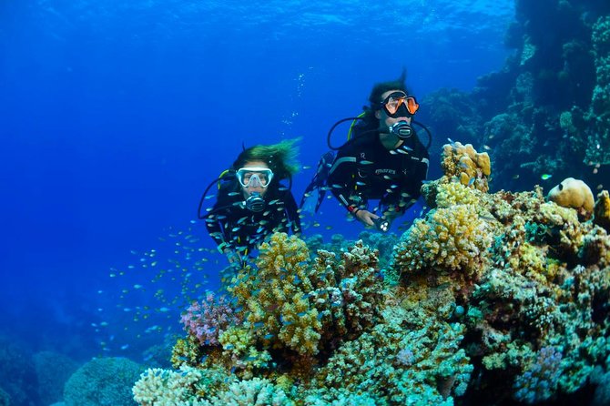 Full-Day Beginner Scuba Course with Private Tuition, Racha Yai - The Second Stop at SSS Phuket: Why It’s Part of the Experience