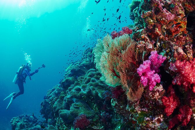 Full-Day Beginner Scuba Course with Private Tuition, Racha Yai - Boat Comfort and Motion-Sickness Tips That Actually Help