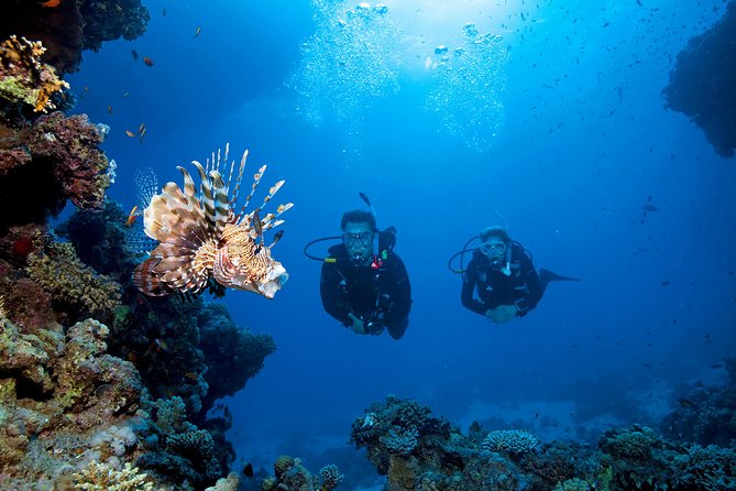 Full-Day Beginner Scuba Course with Private Tuition, Racha Yai - Photos and Camera Rules: Plan for the Extra Cost or Don’t