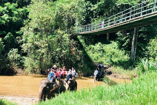 Full Day Car Hire with an English Speaking Driver in Chiang Mai - Elephant sanctuary time: how to plan for the real highlight