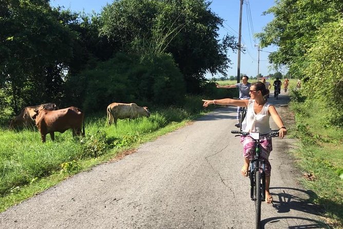Full Day Cycling tour to Sukhothai Historical Park - Lunch, snacks, and bottled water: built for a hot day