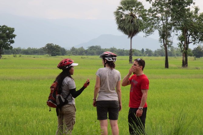 Full Day Cycling tour to Sukhothai Historical Park - Pickup, timing, and where transfers can matter