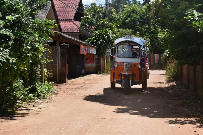 Full-Day Guided Tuk Tuk Chiang Mai Adventure and Rafting - Elephants feeding and bathing: the part to be picky about
