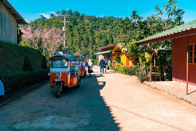 Full-Day Guided Tuk Tuk Chiang Mai Adventure and Rafting - Price and value: what $193.62 covers in real terms