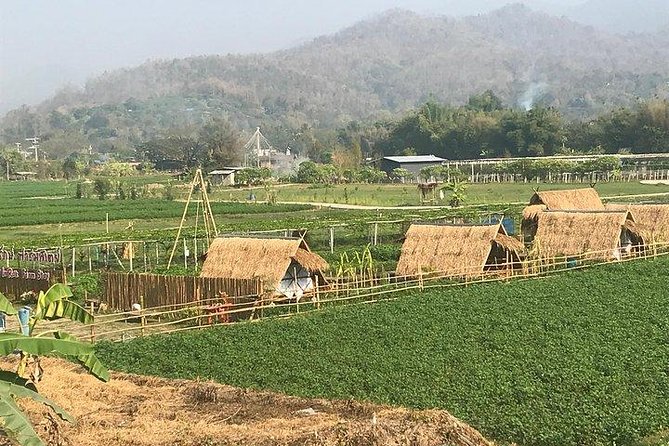 Half-day E-bike Nam Phrae (hilly, fully paved roads, GUIDED) - What you eat: lunch for morning rides, snacks for afternoon rides
