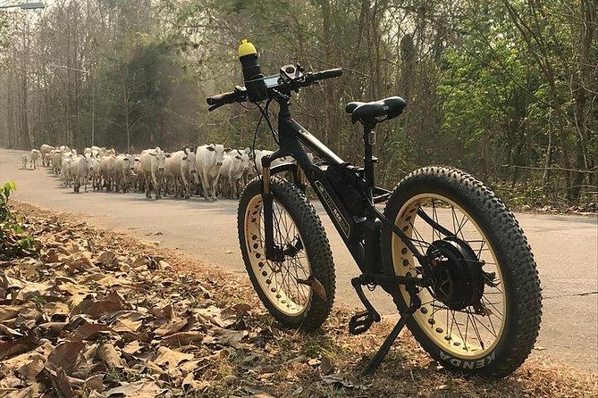 Half-day E-bike Nam Phrae (hilly, fully paved roads, GUIDED) - Who this tour suits best (and who might struggle)