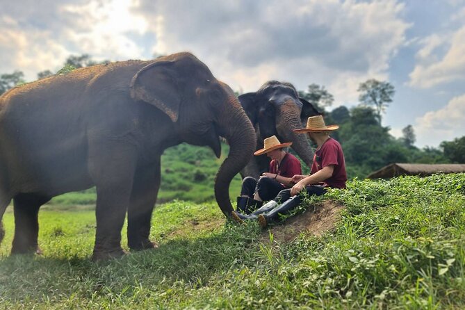 Half-Day Elephant Experience at Rantong - Bathing time: why you shouldn’t treat it as just a photo stop