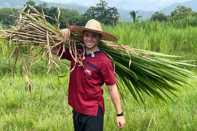 Half-Day Elephant Experience at Rantong - Lunch time: Thai food, fruit, and an easy reset