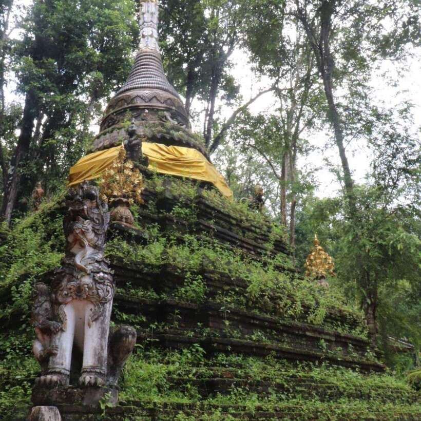Half Day Morning Wat Pha Lat & Wat Phra That Doi Suthep Tour - Who This Half-Day Tour Fits Best