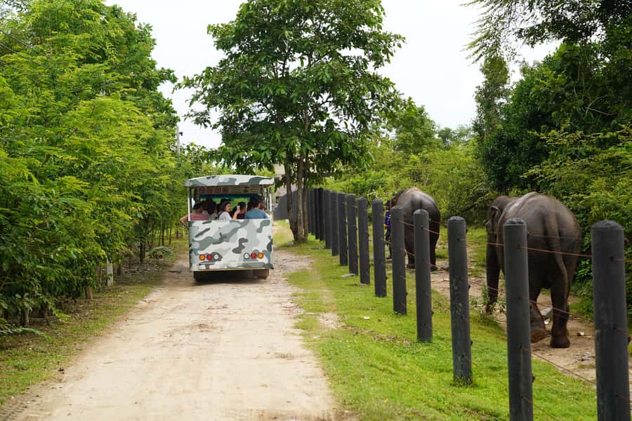 Hua Hin: Wildlife Friends Foundation Thailand Full-Day Visit - Key things worth knowing before you go