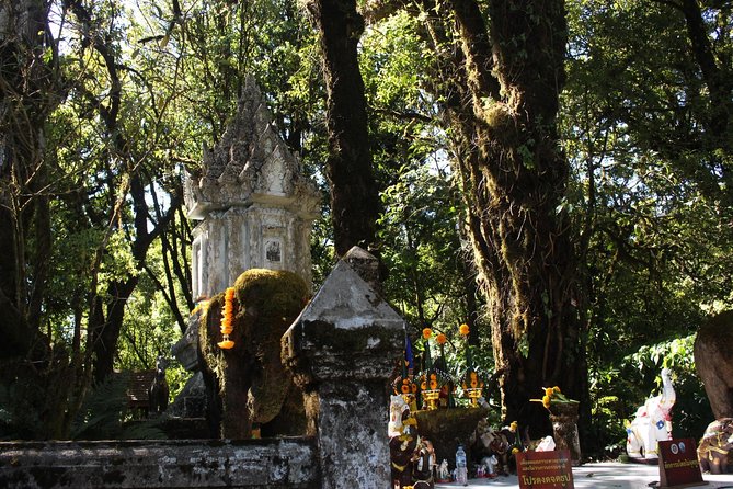 Inthanon Day Trip from Chiang Mai with Lunch - Group or Private - Price and value: what $81.53 really buys you