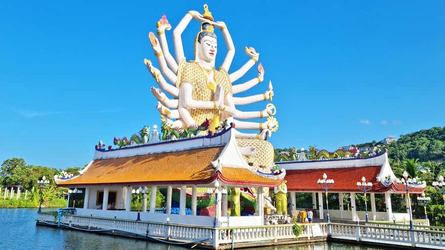 ISLAND TOUR ECO AROUND KOH SAMUI HALF DAY RARE SIGHTSEEING - Hin Ta & Hin Yai: The Funny Rocks With a Serious Story