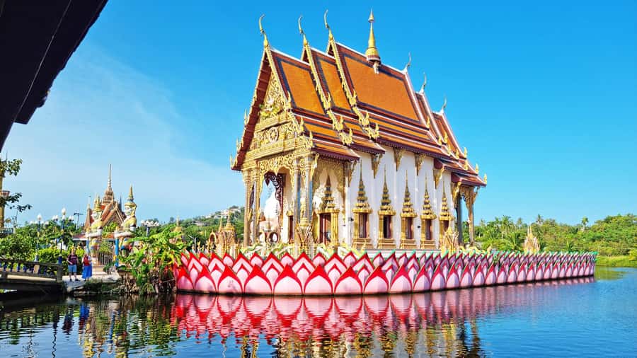 ISLAND TOUR ECO AROUND KOH SAMUI HALF DAY RARE SIGHTSEEING - Mummified Monk at Wat Khunaram: Luong Pordaeng’s Glass Case