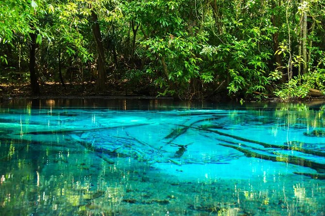 Jungle Tour to Emerald Pool, Krabi Hot Spring and Tiger Cave Temple - Why This Krabi Jungle Day Fits Real Sight-Seeing