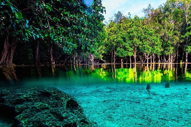 Jungle Tour to Emerald Pool, Krabi Hot Spring and Tiger Cave Temple - Price and Logistics: What $50.14 Really Covers