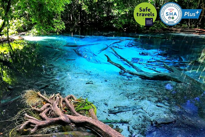 Jungle Tour to Emerald Pool, Krabi Hot Spring and Tiger Cave Temple - Namtok Ron Hot Spring Waterfall: Warm Water in a Shady Forest