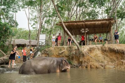 Khao Lak: 1-Hour Elephant Sanctuary Eco-Journey with Shuttle - The entrance welcome and safety briefing that sets the tone