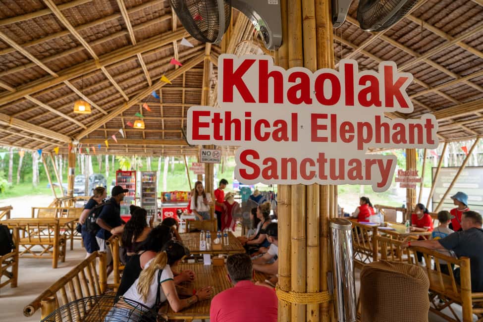 Khao Lak: 1-Hour Elephant Sanctuary Eco-Journey with Shuttle - Elephant care ethics: no riding, no forcing, and why it matters