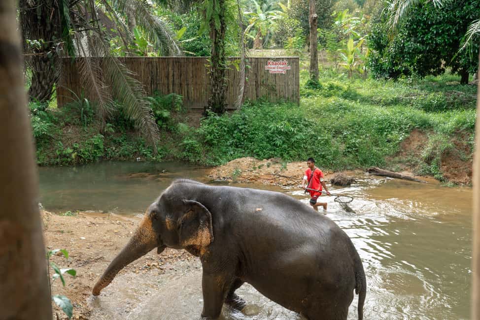 Khao Lak: 1-Hour Elephant Sanctuary Eco-Journey with Shuttle - Who this tour fits best in Khao Lak