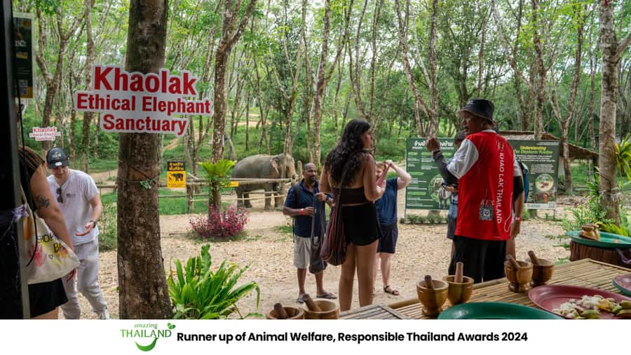 Khao Lak: 2-Hour Elephant Sanctuary Eco-Walk with Guided - Key highlights worth centering your day on