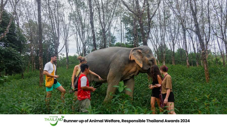 Khao Lak: 2-Hour Elephant Sanctuary Eco-Walk with Guided - Khao Lak Ethical Elephant Sanctuary: what makes this eco-walk different