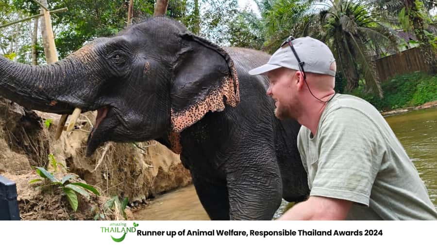 Khao Lak: 2-Hour Elephant Sanctuary Eco-Walk with Guided - Morning pickup and the calm start before the elephants