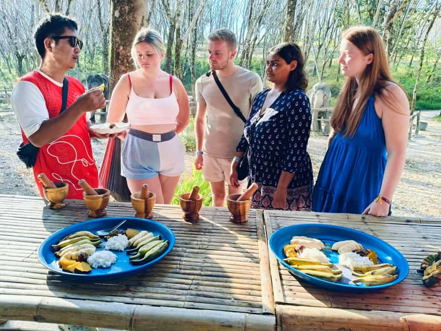 Khao Lak: 2-Hour Elephant Sanctuary Eco-Walk with Guided - Elephant rules that keep the experience ethical (and why you should care)