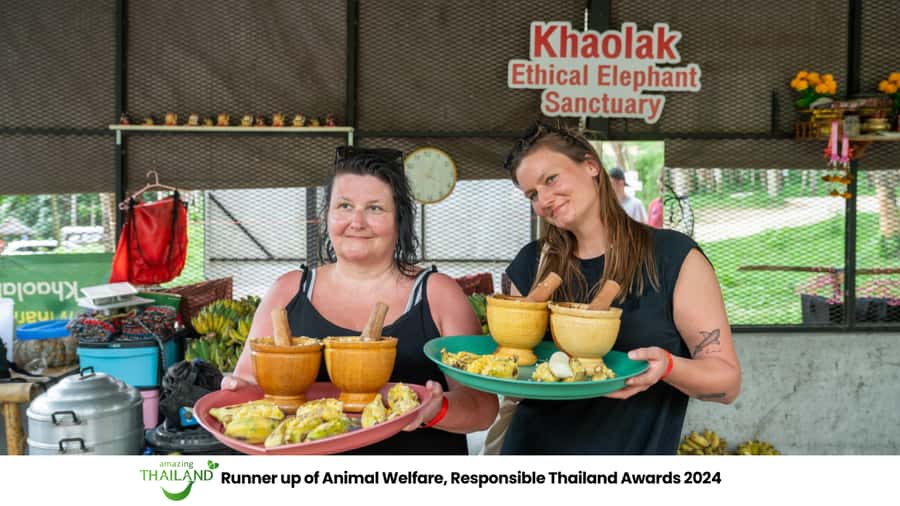 Khao Lak: 2-Hour Elephant Sanctuary Eco-Walk with Guided - Price and time: does $73 for 2–3 hours feel fair?