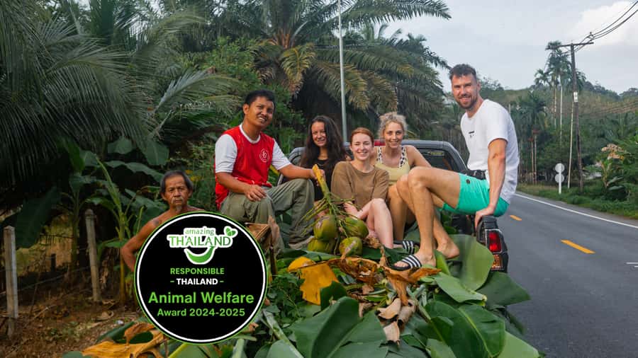 Khao Lak: All-Day Elephant Sanctuary Experience Small Groups - Key things that make this elephant day worthwhile