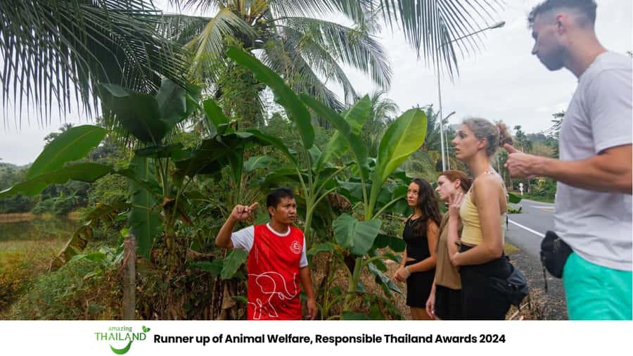 Khao Lak: All-Day Elephant Sanctuary Experience Small Groups - Khao Lak elephant sanctuary: a calmer kind of close encounter