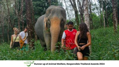 Khao Lak: All-Day Elephant Sanctuary Experience Small Groups - The ride from Khao Lak: plan for an early start