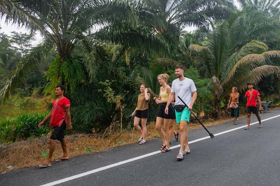 Khao Lak: All-Day Elephant Sanctuary Experience Small Groups - Herbal vitamin balls: hands-on care without the circus energy