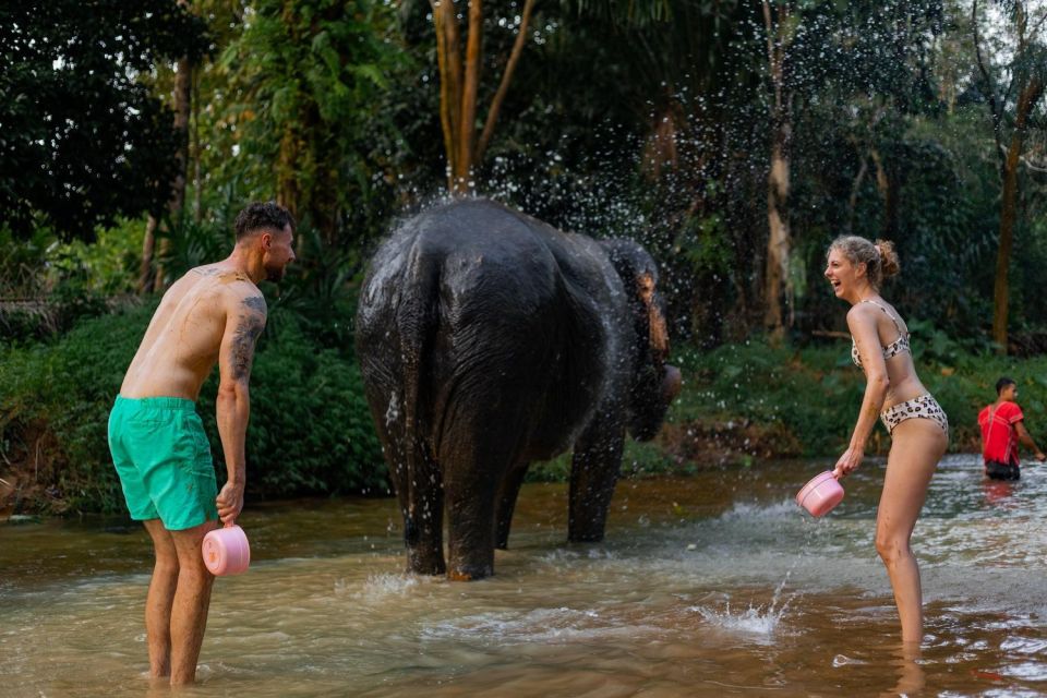 Khao Lak: All-Day Elephant Sanctuary Experience Small Groups - Thai lunch with Pad Thai and fruits: comfort food after elephant time