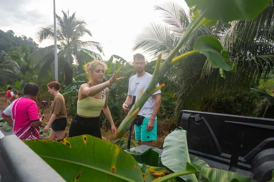 Khao Lak: All-Day Elephant Sanctuary Experience Small Groups - Water playtime: why it feels gentle and real