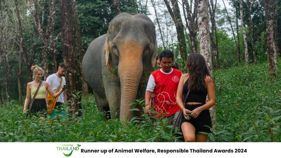 Khao Lak: All-Day Elephant Sanctuary Experience Small Groups - The ride from Khao Lak: plan for an early start
