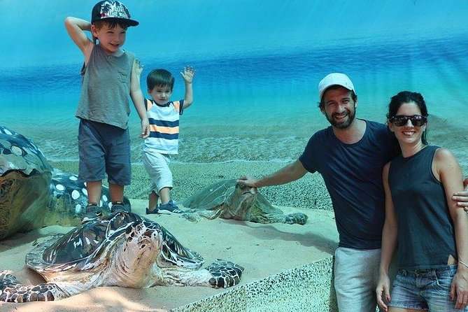 Khao Lak: Bamboo Rafting & Sea Turtle Conservation Center - Sea Turtle Conservation at the Royal Thai Navy Center: What You’re Supporting