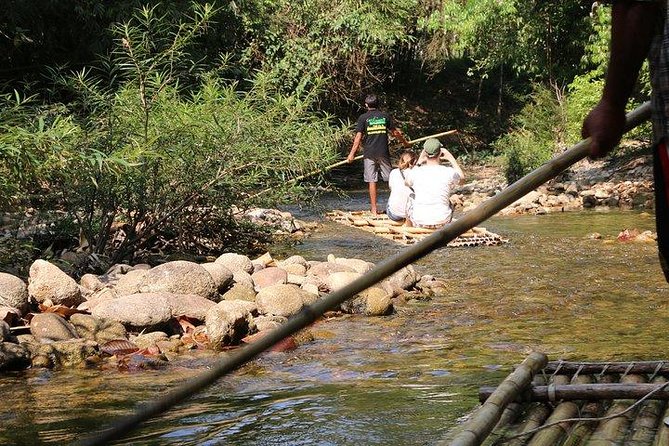 Khao Lak: Bamboo Rafting & Sea Turtle Conservation Center - What You Pay (and Why It’s Fair Value at $42.39)