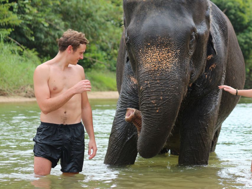 Khao Lak: Elephant Bathing and Turtle Center Visit - Your 210-minute schedule: how the day actually flows