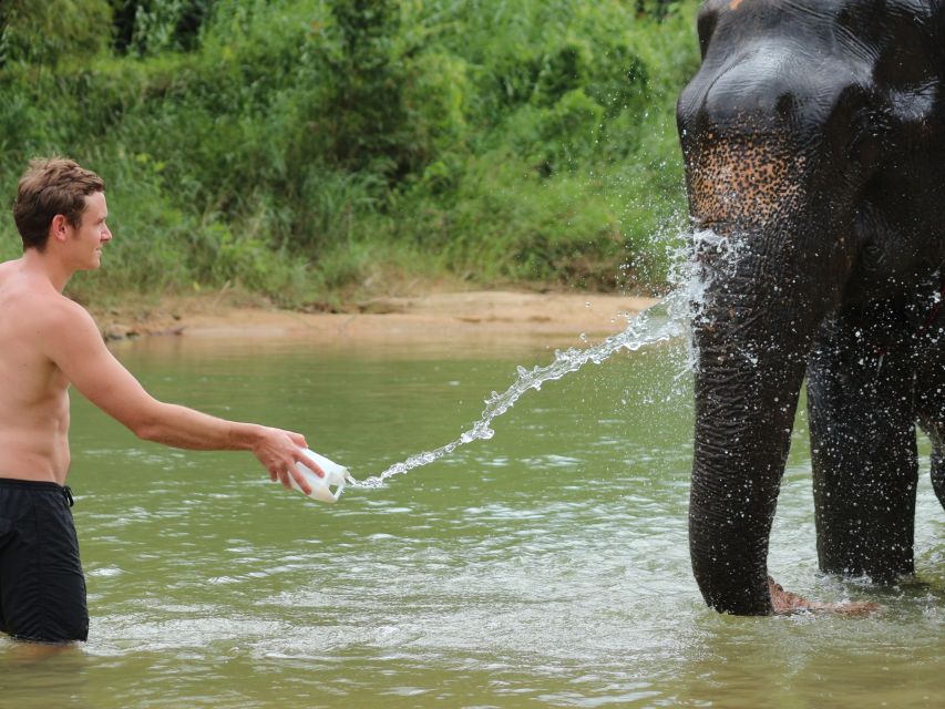Khao Lak: Elephant Bathing and Turtle Center Visit - Price and value: what $63 covers (and what doesn’t)