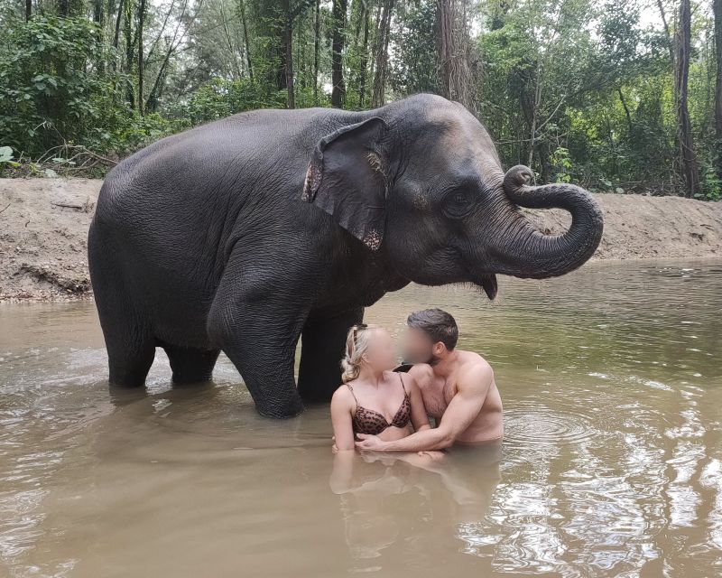 Khao Lak: Elephant Bathing and Turtle Center Visit - Things to consider (before you splash in)