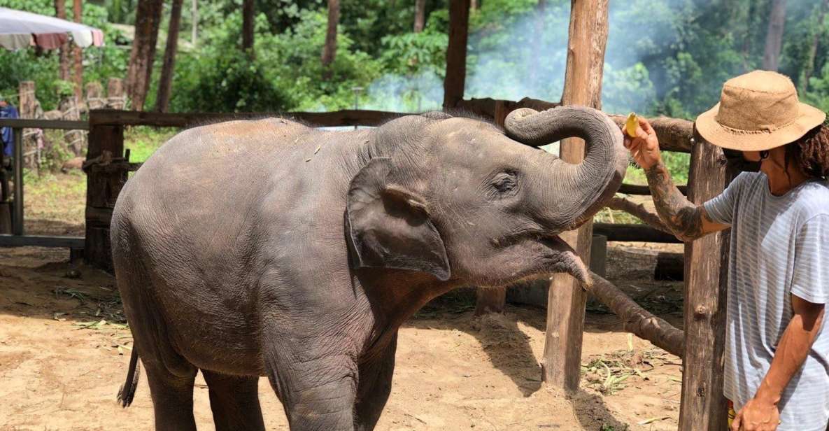 Khao Lak Ethical Adventure: Rafting, Turtles & Elephants - Timing, groups, and what to pack so the day stays fun