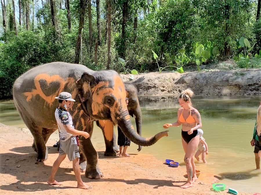 Khao Lak Ethical Adventure: Rafting, Turtles & Elephants - How This 7-Hour Mix Works (and why it feels good value)