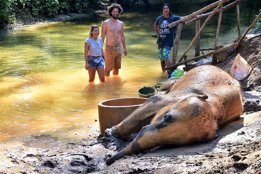 Khao Lak Ethical Adventure: Rafting, Turtles & Elephants - Bamboo rafting to Wang Kiang Koo Waterfall: slow, scenic, and a bit wet