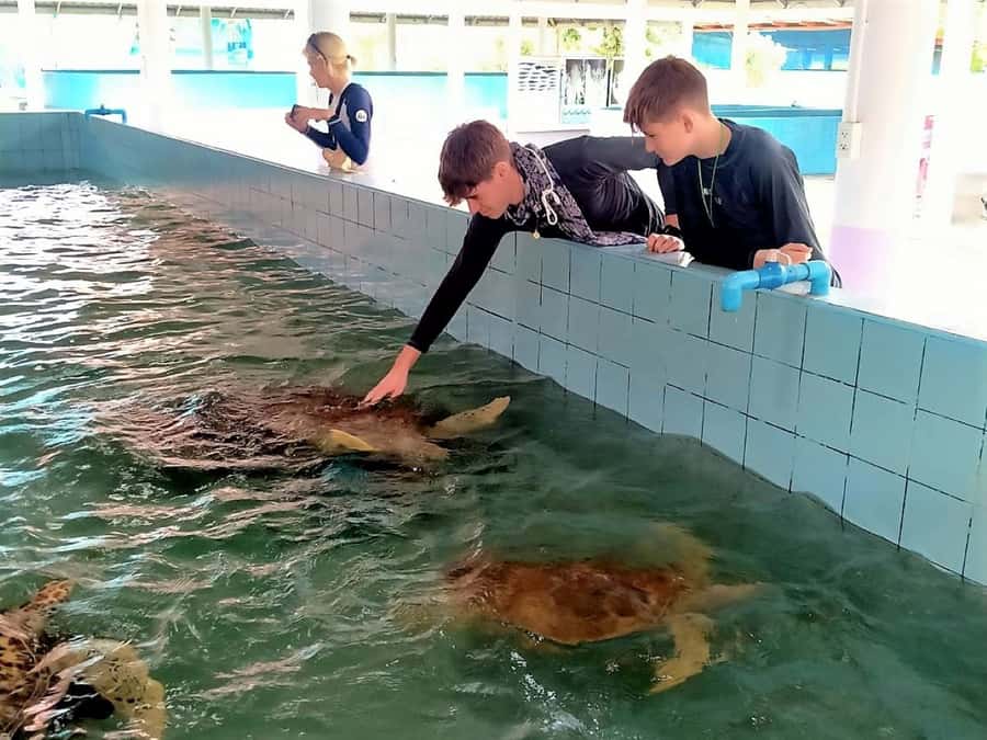 Khao Lak Ethical Adventure: Rafting, Turtles & Elephants - Wat Lak Kaen: the fastest way to understand Buddhism here