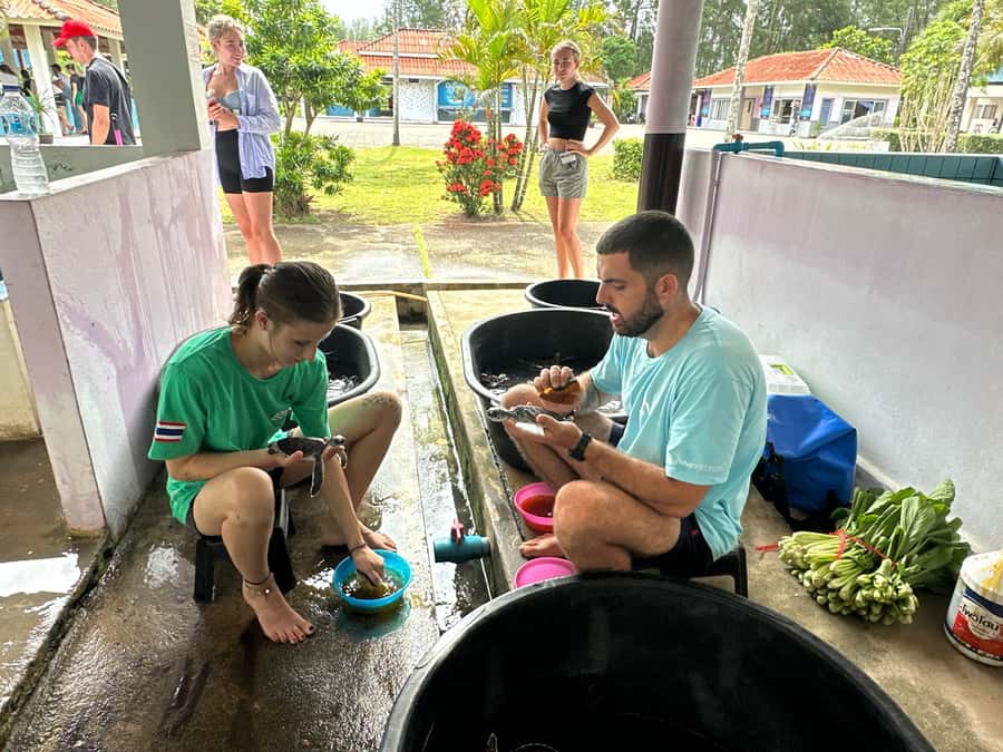 Khao Lak Ethical Adventure: Rafting, Turtles & Elephants - WonderlanD lunch: southern Thai set meal, not a rushed lunch box