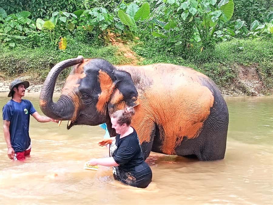 Khao Lak Ethical Adventure: Rafting, Turtles & Elephants - Police Boat 813 Tsunami Memorial: where the guide’s story makes it hit