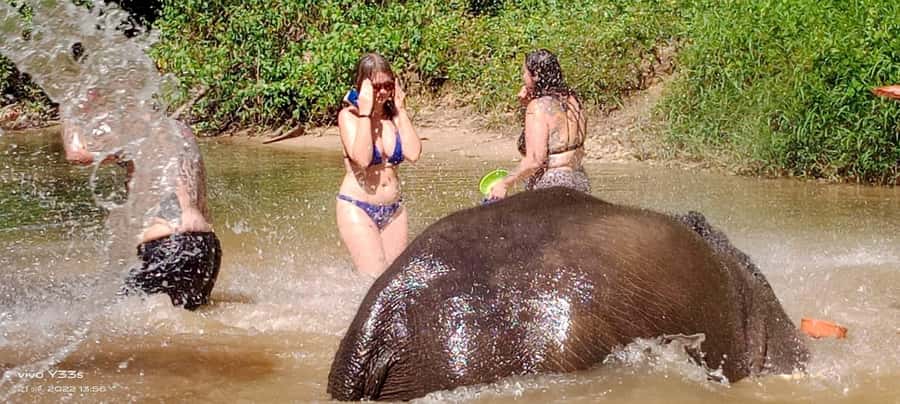 Khao Lak Ethical Adventure: Rafting, Turtles & Elephants - Ethical elephant sanctuary: observation-only, and how to get the most out of it